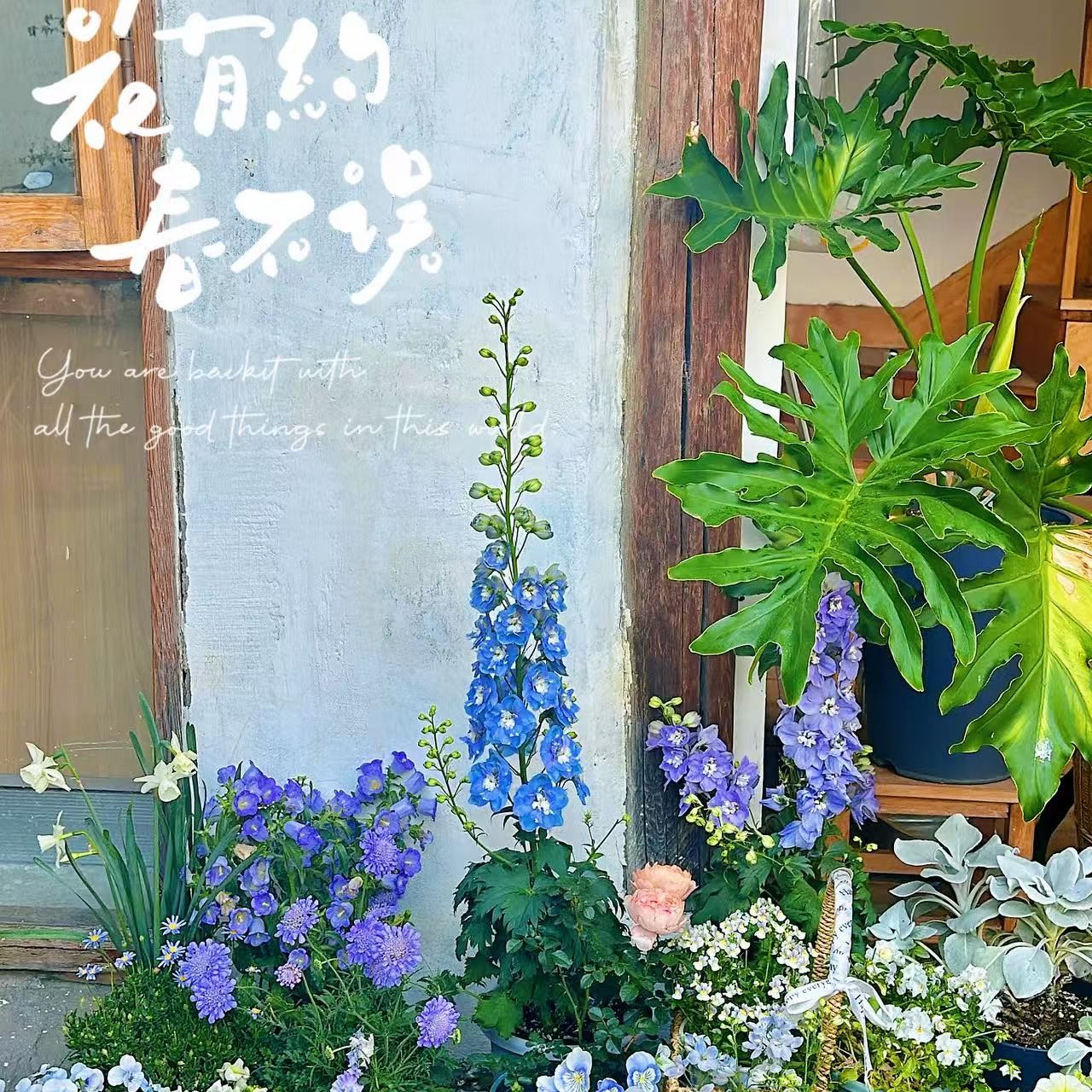 Ep.182  真是一边烦，一边笑 | 生活灵感小会