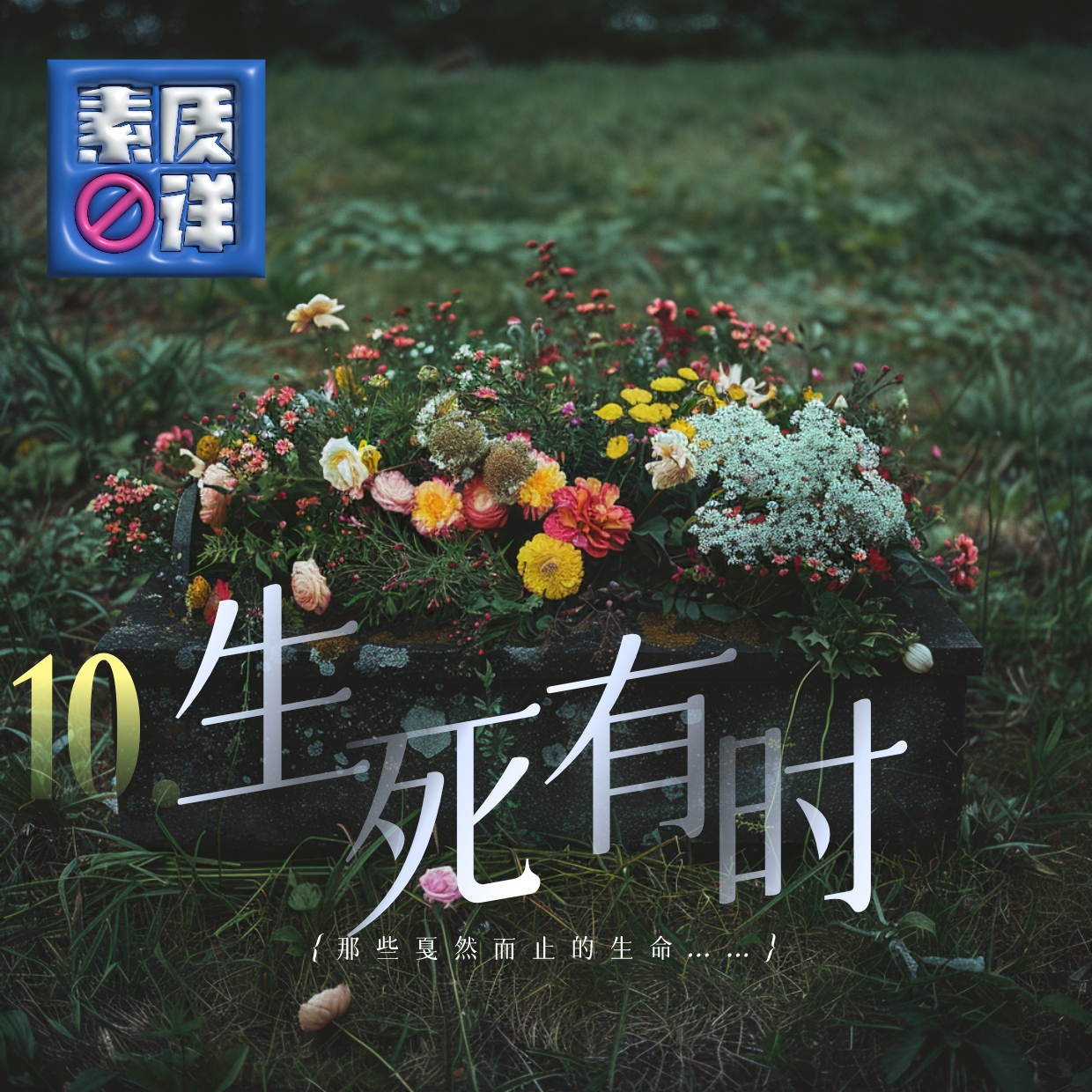 cover of episode 10. 生死有时，那些戛然而止的生命