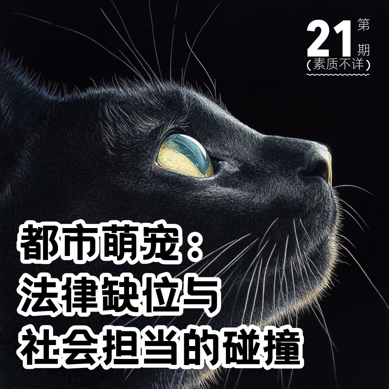 cover of episode 21. 都市萌宠：法律缺位与社会担当的碰撞￼