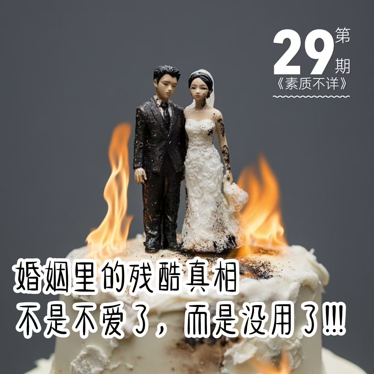 cover of episode 29. 婚姻里的残酷真相|不是不爱了，而是没用了！！！